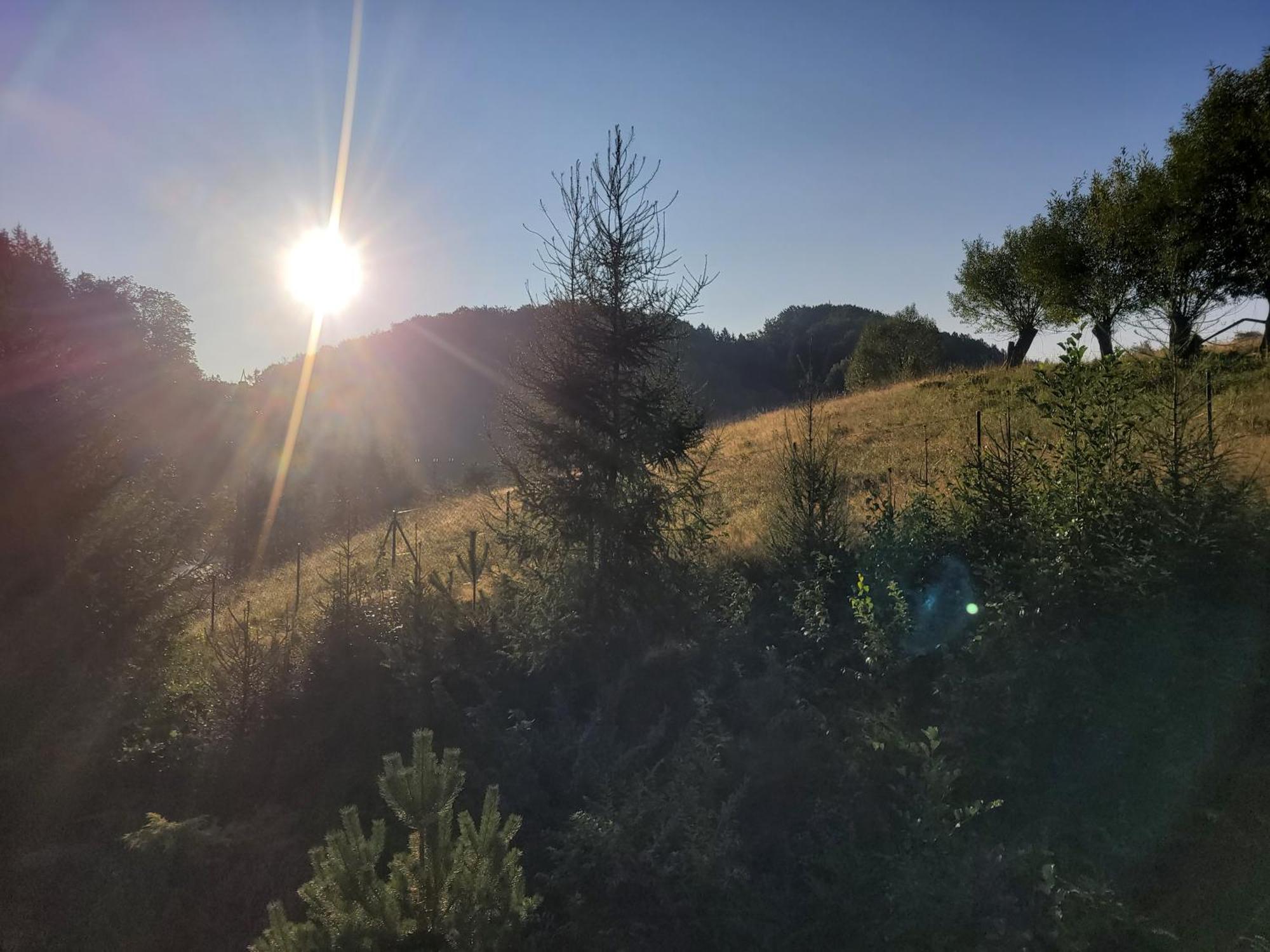 Forest Camp Dom W Gorach Sowich Michalkowa Esterno foto